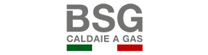 BIASI – SAVIO - BSG: комплектующие  для котлов и горелок logo